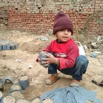 Green Seekers Activity